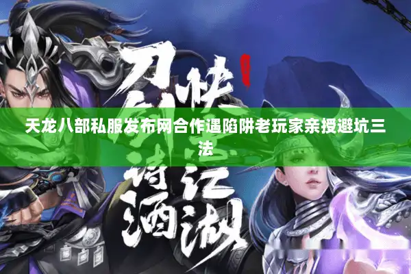 天龙八部私服发布网合作遇陷阱老玩家亲授避坑三法