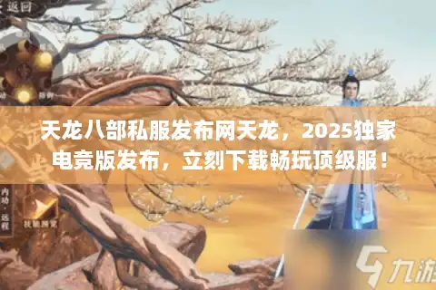 天龙八部私服发布网天龙，2025独家电竞版发布，立刻下载畅玩顶级服！