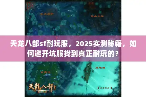 天龙八部sf耐玩服，2025实测秘籍，如何避开坑服找到真正耐玩的？