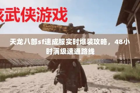 天龙八部sf速成服实时爆装攻略，48小时满级速通路线