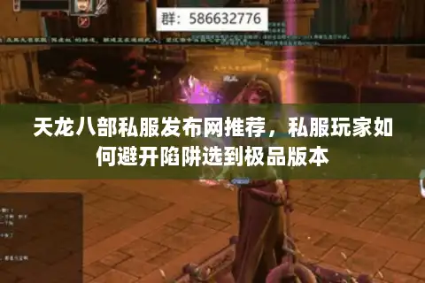 天龙八部私服发布网推荐，私服玩家如何避开陷阱选到极品版本