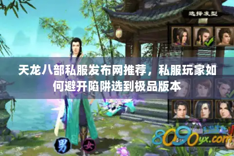 天龙八部私服发布网推荐，私服玩家如何避开陷阱选到极品版本