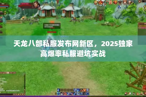 天龙八部私服发布网新区，2025独家高爆率私服避坑实战