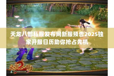 天龙八部私服发布网新服预告2025独家开服日历助你抢占先机