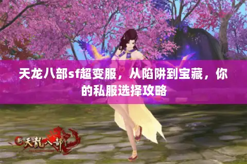 天龙八部sf超变服，从陷阱到宝藏，你的私服选择攻略