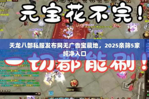 天龙八部私服发布网无广告宝藏地，2025亲筛5家纯净入口