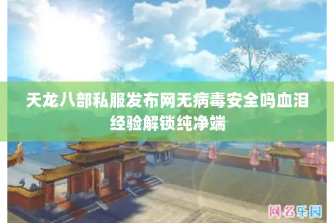 天龙八部私服发布网无病毒安全吗血泪经验解锁纯净端