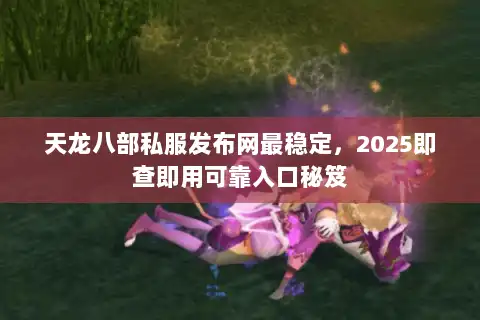 天龙八部私服发布网最稳定，2025即查即用可靠入口秘笈