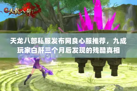 天龙八部私服发布网良心服推荐，九成玩家白肝三个月后发现的残酷真相