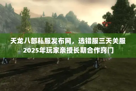 天龙八部私服发布网，选错服三天关服2025年玩家亲授长期合作窍门