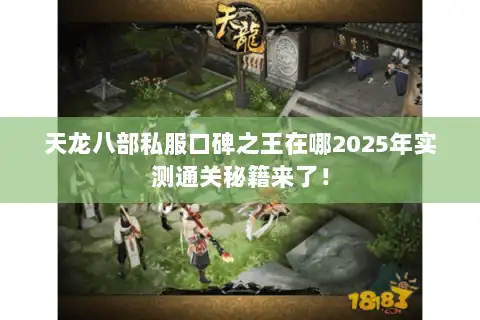 天龙八部私服口碑之王在哪2025年实测通关秘籍来了！