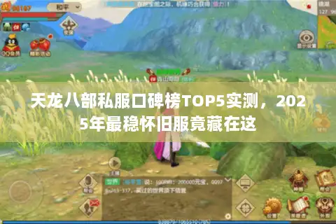 天龙八部私服口碑榜TOP5实测，2025年最稳怀旧服竟藏在这