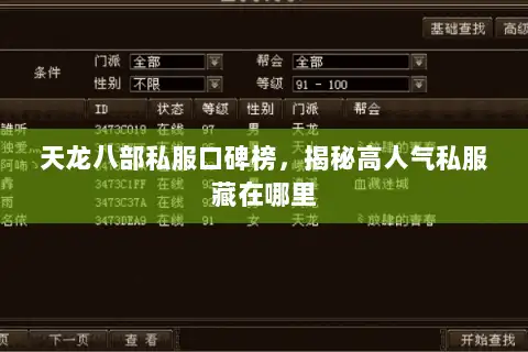 天龙八部私服口碑榜，揭秘高人气私服藏在哪里