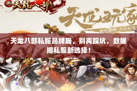 天龙八部私服品牌服，别再踩坑，数据揭私服新选择！