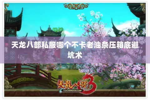 天龙八部私服哪个不卡老油条压箱底避坑术 天龙八部私服哪个不卡老油条压箱底避坑术