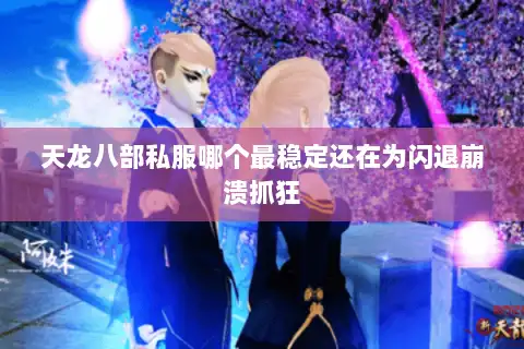 天龙八部私服哪个最稳定还在为闪退崩溃抓狂