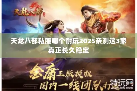 天龙八部私服哪个耐玩2025亲测这3家真正长久稳定