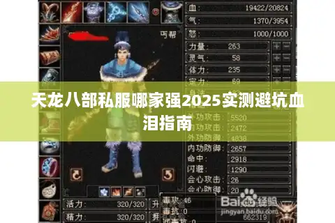 天龙八部私服哪家强2025实测避坑血泪指南