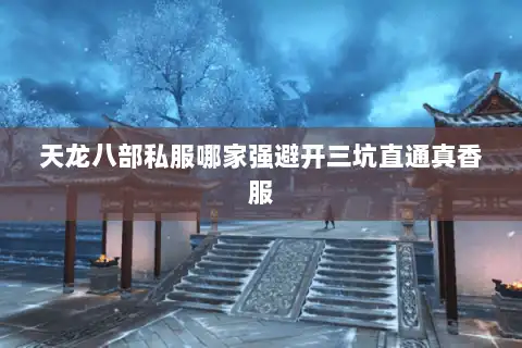 天龙八部私服哪家强避开三坑直通真香服 天龙八部私服哪家强避开三坑直通真香服