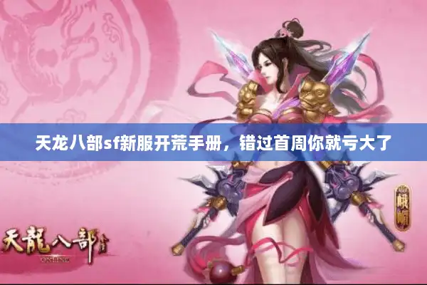 天龙八部sf新服开荒手册，错过首周你就亏大了