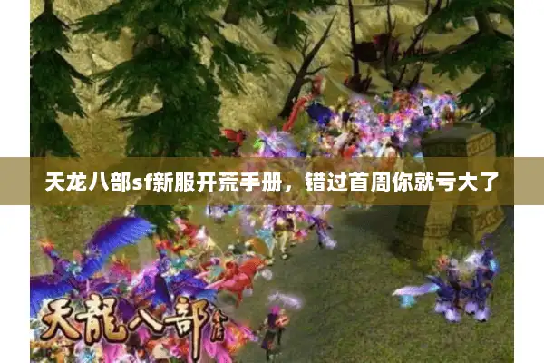 天龙八部sf新服开荒手册，错过首周你就亏大了
