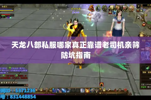 天龙八部私服哪家真正靠谱老司机亲筛防坑指南