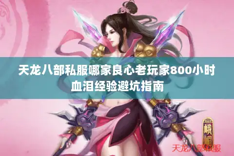 天龙八部私服哪家良心老玩家800小时血泪经验避坑指南