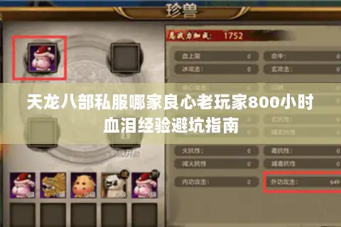 天龙八部私服哪家良心老玩家800小时血泪经验避坑指南