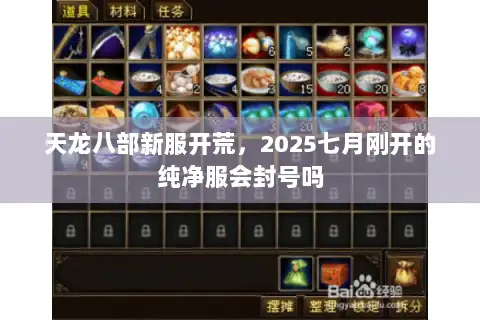 天龙八部新服开荒，2025七月刚开的纯净服会封号吗