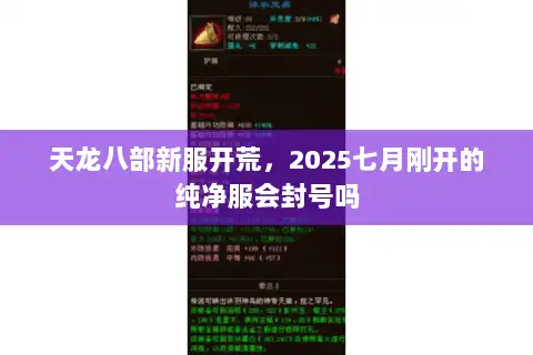 天龙八部新服开荒，2025七月刚开的纯净服会封号吗