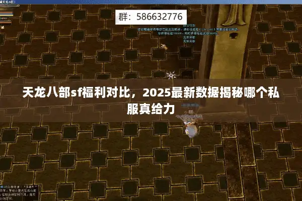 天龙八部sf福利对比，2025最新数据揭秘哪个私服真给力
