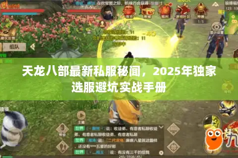 天龙八部最新私服秘闻，2025年独家选服避坑实战手册