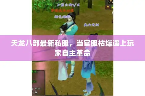 天龙八部最新私服，当官服枯燥遇上玩家自主革命