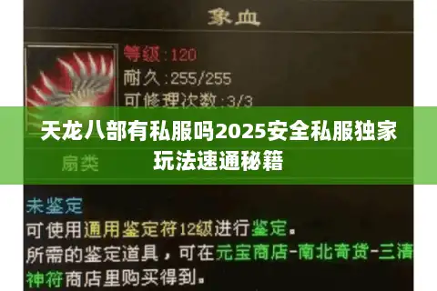 天龙八部有私服吗2025安全私服独家玩法速通秘籍