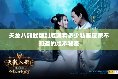 天龙八部武魂到底藏着多少私服玩家不知道的版本秘密