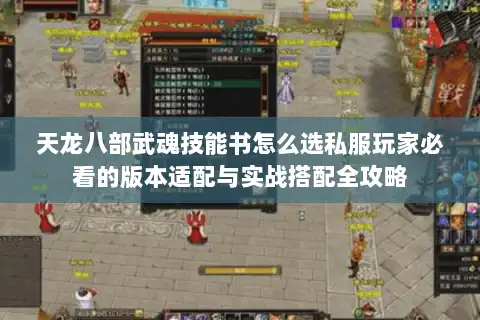 天龙八部武魂技能书怎么选私服玩家必看的版本适配与实战搭配全攻略