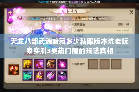 天龙八部武魂暗藏多少私服版本坑老玩家实测3类热门服的玩法真相