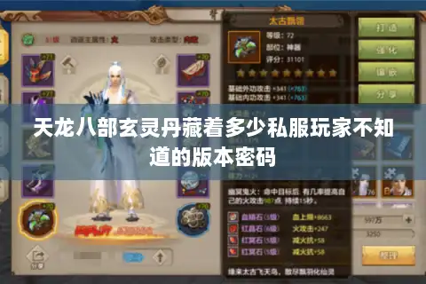 天龙八部玄灵丹藏着多少私服玩家不知道的版本密码