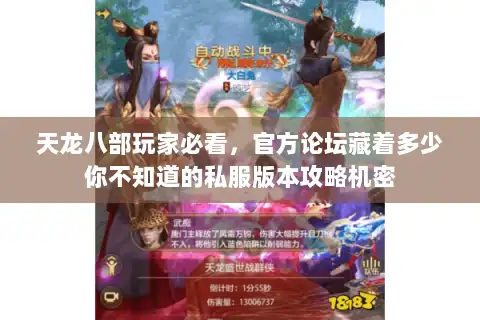 天龙八部玩家必看,官方论坛藏着多少你不知道的私服版本攻略机密 天龙八部玩家必看,官方论坛藏着多少你不知道的私服版本攻略机密
