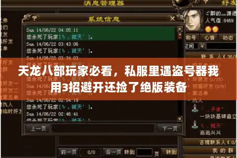 天龙八部玩家必看，私服里遇盗号器我用3招避开还捡了绝版装备