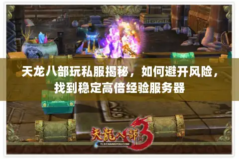 天龙八部玩私服揭秘，如何避开风险，找到稳定高倍经验服务器