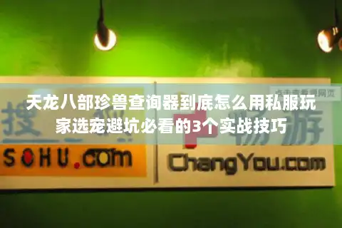 天龙八部珍兽查询器到底怎么用私服玩家选宠避坑必看的3个实战技巧 天龙八部珍兽查询器到底怎么用私服玩家选宠避坑必看的3个实战技巧