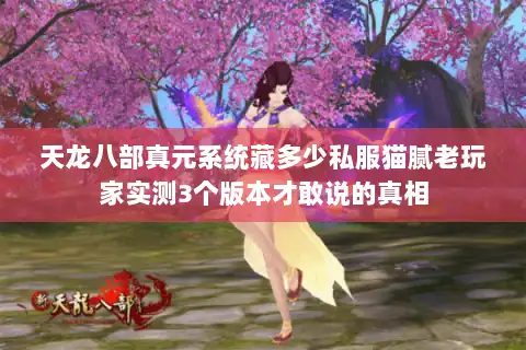 天龙八部真元系统藏多少私服猫腻老玩家实测3个版本才敢说的真相 天龙八部真元系统藏多少私服猫腻老玩家实测3个版本才敢说的真相