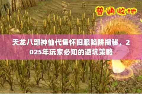 天龙八部神仙代售怀旧服陷阱揭秘，2025年玩家必知的避坑策略