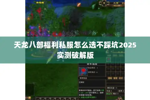 天龙八部福利私服怎么选不踩坑2025实测破解版