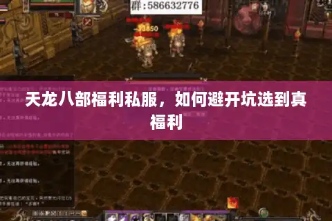 天龙八部福利私服，如何避开坑选到真福利