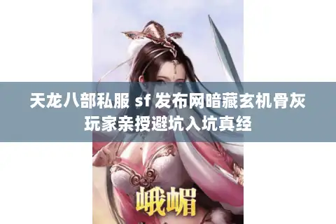 天龙八部私服 sf 发布网暗藏玄机骨灰玩家亲授避坑入坑真经