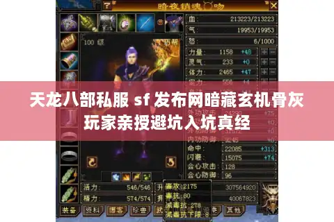 天龙八部私服 sf 发布网暗藏玄机骨灰玩家亲授避坑入坑真经