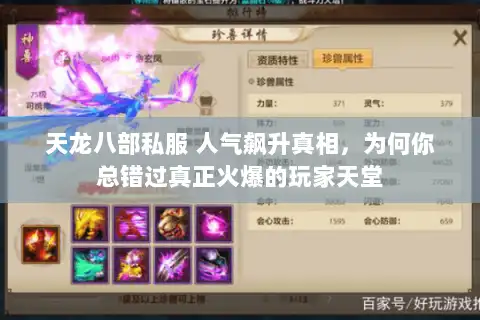 天龙八部私服 人气飙升真相,为何你总错过真正火爆的玩家天堂 天龙八部私服 人气飙升真相,为何你总错过真正火爆的玩家天堂