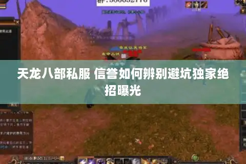 天龙八部私服 信誉如何辨别避坑独家绝招曝光